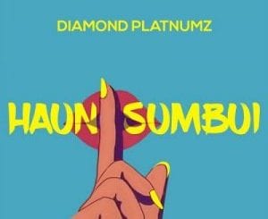 Diamond Platnumz, Haunisumbui, mp3, download, datafilehost, toxicwap, fakaza, Afro House, Afro House 2020, Afro House Mix, Afro House Music, Afro Tech, House Music