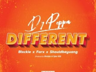 Dr Peppa, Different, Blxckie, ShouldbeYuang, Farx, mp3, download, datafilehost, toxicwap, fakaza, Afro House, Afro House 2020, Afro House Mix, Afro House Music, Afro Tech, House Music
