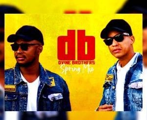 Dvine Brothers, Spring Mix 2020, mp3, download, datafilehost, toxicwap, fakaza, Afro House, Afro House 2020, Afro House Mix, Afro House Music, Afro Tech, House Music
