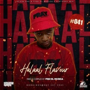 Halaal Flavour 41 Mix