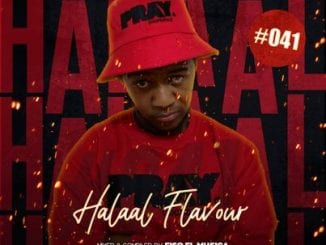 Fiso El Musica, Halaal Flavour 41 Mix, mp3, download, datafilehost, toxicwap, fakaza, House Music, Amapiano, Amapiano 2020, Amapiano Mix, Amapiano Music