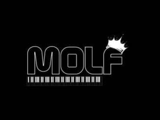 MoLf, Expensive Flavour Episode 003 Mix, mp3, download, datafilehost, toxicwap, fakaza, Afro House, Afro House 2020, Afro House Mix, Afro House Music, Afro Tech, House Music