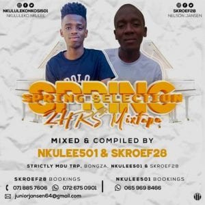 Nkulee 501 & Skroef28, Spring Selection Mix, Strictly Mdu aka TRP, Bongza, mp3, download, datafilehost, toxicwap, fakaza, House Music, Amapiano, Amapiano 2020, Amapiano Mix, Amapiano Music