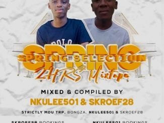 Nkulee 501 & Skroef28, Spring Selection Mix, Strictly Mdu aka TRP, Bongza, mp3, download, datafilehost, toxicwap, fakaza, House Music, Amapiano, Amapiano 2020, Amapiano Mix, Amapiano Music
