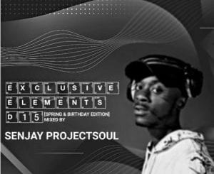 Senjay ProjectSoul, Exclusive Elements D15, Spring, Birthday Edition, mp3, download, datafilehost, toxicwap, fakaza, Afro House, Afro House 2020, Afro House Mix, Afro House Music, Afro Tech, House Music