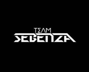 Team Sebenza, Icon, mp3, download, datafilehost, toxicwap, fakaza, Gqom Beats, Gqom Songs, Gqom Music, Gqom Mix, House Music