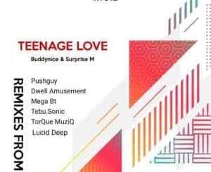 Buddynice, Surprise M, Teenage Love, Remixes, download ,zip, zippyshare, fakaza, EP, datafilehost, album, Deep House Mix, Deep House, Deep House Music, Deep Tech, Afro Deep Tech, House Music