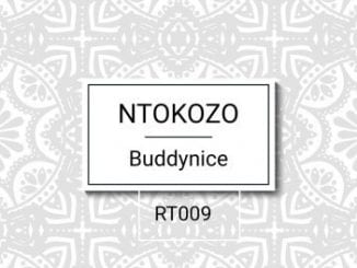 Buddynice, Ntokozo, Redemial Mix, mp3, download, datafilehost, toxicwap, fakaza, Deep House Mix, Deep House, Deep House Music, Deep Tech, Afro Deep Tech, House Music