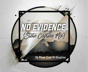 DJ Phat Cat, No Evidence, State Capture Mix, Guptas, mp3, download, datafilehost, toxicwap, fakaza, Afro House, Afro House 2020, Afro House Mix, Afro House Music, Afro Tech, House Music