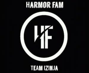 Harmor Fam, BW Productions, mp3, download, datafilehost, toxicwap, fakaza, Gqom Beats, Gqom Songs, Gqom Music, Gqom Mix, House Music