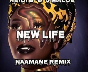 Heidi B, J Maloe, New Life, Naamane Remix, mp3, download, datafilehost, toxicwap, fakaza, Afro House, Afro House 2020, Afro House Mix, Afro House Music, Afro Tech, House Music