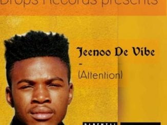 Jeenoo De Vibe, Attention, mp3, download, datafilehost, toxicwap, fakaza, Afro House, Afro House 2020, Afro House Mix, Afro House Music, Afro Tech, House Music