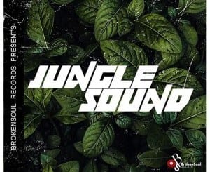NakedSoul, Mash_P, Thekidd, Jungle Sound, Original Mix, mp3, download, datafilehost, toxicwap, fakaza, Afro House, Afro House 2020, Afro House Mix, Afro House Music, Afro Tech, House Music
