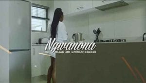 TallArseTee – Ngwanona ft. Mr JazziQ, Papers 707, Zuma & Busta929