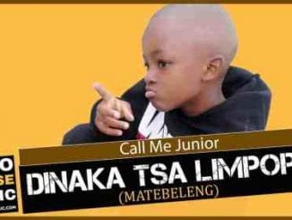 Call Me Junior, Dinaka tsa Limpopo, Matebeleng, mp3, download, datafilehost, toxicwap, fakaza, Afro House, Afro House 2020, Afro House Mix, Afro House Music, Afro Tech, House Music
