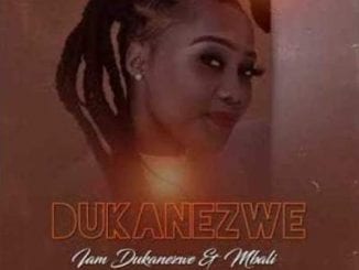 Dukanezwe, I Am Dukanezwe, Afro Brotherz, mp3, download, datafilehost, toxicwap, fakaza, Afro House, Afro House 2020, Afro House Mix, Afro House Music, Afro Tech, House Music