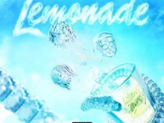 beyonce lemonade album zip download nippyshare