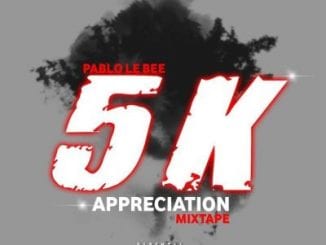 Pablo Le Bee, 5K Appreciaton Mix, mp3, download, datafilehost, toxicwap, fakaza, Gqom Beats, Gqom Songs, Gqom Music, Gqom Mix, House Music