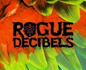 Rogue Decibels Vol.2, Part 1, download ,zip, zippyshare, fakaza, EP, datafilehost, album, Deep House Mix, Deep House, Deep House Music, Deep Tech, Afro Deep Tech, House Music