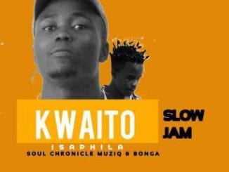 Soul chronicle muziQ, Bonga, ikwaito isaphila, Slowjam, mp3, download, datafilehost, toxicwap, fakaza, Kwaito Songs, Kwaito, Kwaito Mix, Kwaito Music, Kwaito Classics, Pop Music, Pop, Afro-Pop