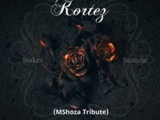 Stakev, Stumzar, Kortes, Mshoza Tribute, mp3, download, datafilehost, toxicwap, fakaza, House Music, Amapiano, Amapiano 2020, Amapiano Mix, Amapiano Music