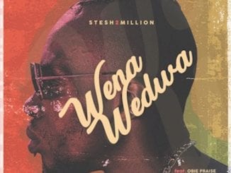 Stesh2Million, Wena Wedwa, Obie Praise, mp3, download, datafilehost, toxicwap, fakaza, Afro House, Afro House 2020, Afro House Mix, Afro House Music, Afro Tech, House Music