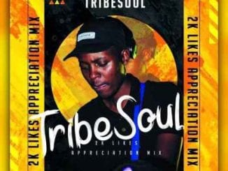 TribeSoulm 2K Appreciation Mixtape, mp3, download, datafilehost, toxicwap, fakaza, House Music, Amapiano, Amapiano 2020, Amapiano Mix, Amapiano Music