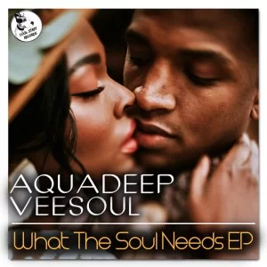 Aquadeep, Veesoul, What The Soul Needs, download ,zip, zippyshare, fakaza, EP, datafilehost, album, Soulful House Mix, Soulful House, Soulful House Music, House Music