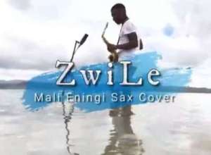 Download Big Zulu Mali Eningi Ft Riky Rick Intaba Yase Dubai Zwile Sax Cover Zamusic