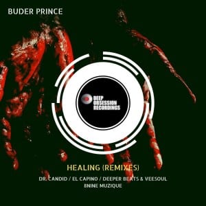 Buder Prince, Healing Remixes, download ,zip, zippyshare, fakaza, EP, datafilehost, album, Afro House, Afro House 2021, Afro House Mix, Afro House Music, Afro Tech, House Music