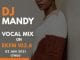 Dj Mandy, Throwback Vocal Dance Mix, mp3, download, datafilehost, toxicwap, fakaza, House Music, Amapiano, Amapiano 2020, Amapiano Mix, Amapiano Music