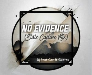 Dj Phat Cat, Guptas, No evidence, State Capture Mix, mp3, download, datafilehost, toxicwap, fakaza, House Music, Amapiano, Amapiano 2021, Amapiano Mix, Amapiano Music