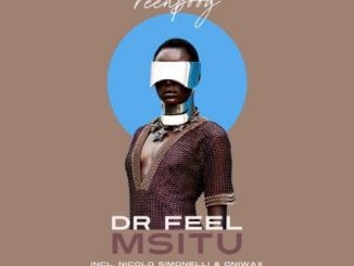 Dr Feel, Msitu, Original Mix, mp3, download, datafilehost, toxicwap, fakaza, Afro House, Afro House 2021, Afro House Mix, Afro House Music, Afro Tech, House Music