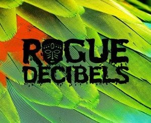 Rogue Decibels, Vol. 2, Part 2, download ,zip, zippyshare, fakaza, EP, datafilehost, album, Deep House Mix, Deep House, Deep House Music, Deep Tech, Afro Deep Tech, House Music