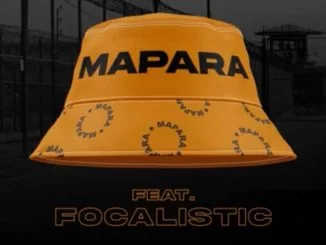 Mellow, Sleazy, Mapara, Focalistic, mp3, download, datafilehost, toxicwap, fakaza, House Music, Amapiano, Amapiano 2021, Amapiano Mix, Amapiano Music