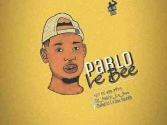 Pablo Le Bee, 501 Personality, Christian BassMachine, mp3, download, datafilehost, toxicwap, fakaza, House Music, Amapiano, Amapiano 2020, Amapiano Mix, Amapiano Music