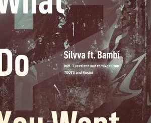 Silvva, Bambi, What Do You Want, download ,zip, zippyshare, fakaza, EP, datafilehost, album, Afro House, Afro House 2021, Afro House Mix, Afro House Music, Afro Tech, House Music