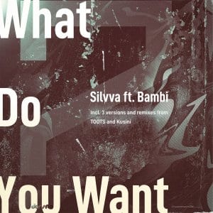 Silvva, Bambi, What Do You Want, download ,zip, zippyshare, fakaza, EP, datafilehost, album, Afro House, Afro House 2021, Afro House Mix, Afro House Music, Afro Tech, House Music