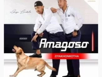 Amagoso, Ziyakhonkotha, download ,zip, zippyshare, fakaza, EP, datafilehost, album, Maskandi Songs, Maskandi, Maskandi Mix, Maskandi Music, Maskandi Classics