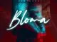 Bantu Soul, Bloma, mp3, download, datafilehost, toxicwap, fakaza, Afro House, Afro House 2021, Afro House Mix, Afro House Music, Afro Tech, House Music