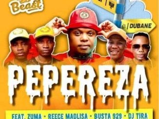 Beast, Pepereza, DJ Tira, Reece Madlisa, Zuma, Busta 929, mp3, download, datafilehost, toxicwap, fakaza, House Music, Amapiano, Amapiano 2021, Amapiano Mix, Amapiano Music