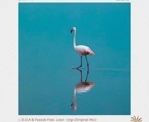 D.O.A, Foozak, Izigi, Lizwi, mp3, download, datafilehost, toxicwap, fakaza, Hiphop, Hip hop music, Hip Hop Songs, Hip Hop Mix, Hip Hop, Rap, Rap Music