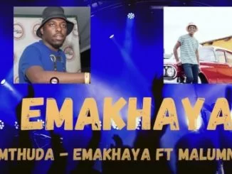 De Mthuda, EMAKHAYA, Malumnator, mp3, download, datafilehost, toxicwap, fakaza, House Music, Amapiano, Amapiano 2021, Amapiano Mix, Amapiano Music