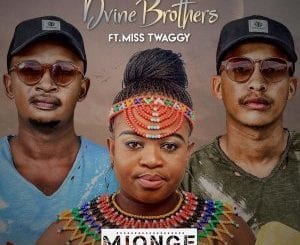 Dvine Brothers, Miss Twaggy, Mjonge, download ,zip, zippyshare, fakaza, EP, datafilehost, album, Afro House, Afro House 2021, Afro House Mix, Afro House Music, Afro Tech, House Music