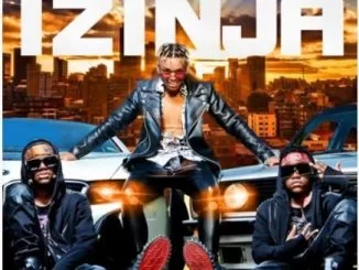 E – Iconz, Izinja, Masterpiece YVK, mp3, download, datafilehost, toxicwap, fakaza, Afro House, Afro House 2021, Afro House Mix, Afro House Music, Afro Tech, House Music