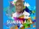 KG Smallz, MellowBone, VIC SA, Fako, Sumbulala, Stop Gbv, mp3, download, datafilehost, toxicwap, fakaza, House Music, Amapiano, Amapiano 2021, Amapiano Mix, Amapiano Music
