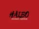 Kota Embassy, Haibo, Swartspeare, mp3, download, datafilehost, toxicwap, fakaza, House Music, Amapiano, Amapiano 2021, Amapiano Mix, Amapiano Music