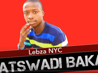 Lebza Nyc, Batswadi Baka, mp3, download, datafilehost, toxicwap, fakaza, House Music, Amapiano, Amapiano 2021, Amapiano Mix, Amapiano Music