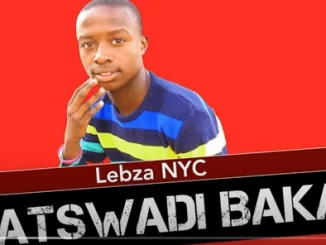 Lebza Nyc, Batswadi Baka, mp3, download, datafilehost, toxicwap, fakaza, House Music, Amapiano, Amapiano 2021, Amapiano Mix, Amapiano Music