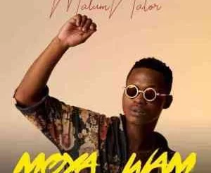 MalumNator, De Mthuda, Ntokzin, Iy’phuzo, mp3, download, datafilehost, toxicwap, fakaza, House Music, Amapiano, Amapiano 2021, Amapiano Mix, Amapiano Music